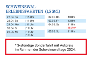 Reederei Warrings - Schweinswale